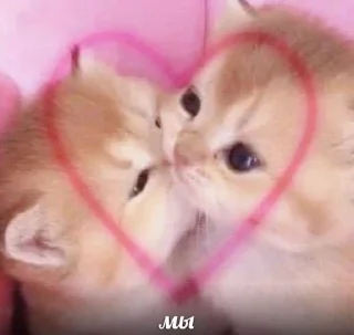 💕 emoji 💕💞💓💗💖💘💝🛍 Telegram sticker 18 of 103