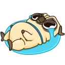 😭 emoji Puga the Dog Telegram sticker 16 of 24
