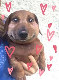 🐶 emoji сабака Telegram sticker 23 of 41