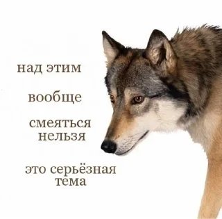 😤 emoji гучи мамми на джуси Telegram sticker 16 of 42