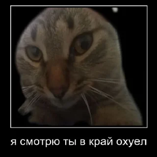 🙂 emoji айкью тим Telegram sticker 5 of 20