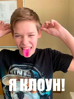 🤡 emoji глисты тим Telegram sticker 10 of 88