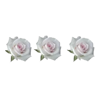 🕊 emoji ୨୧’ angelcore ⋆˚｡ Telegram sticker 3 of 95