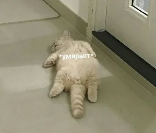 Sticker from Джаст фор май Шугар💞