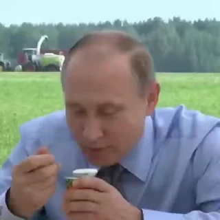 🇷🇺 emoji vid Telegram sticker 6 of 48