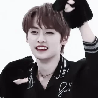 🐱 emoji минхо` Telegram sticker 7 of 27