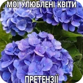 🫥 emoji УКРАЇНСЬКІ СТІКЕРИ ВІД ФІАЛКИ Telegram sticker 17 of 28