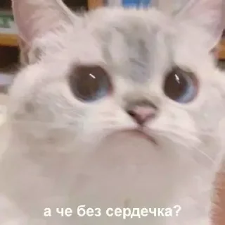 😢 emoji Милые Telegram sticker 19 of 72