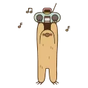 🎶 emoji AnimatedPusheen @IMG2D Telegram sticker 10 of 50