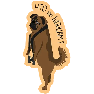 🤓 emoji Филипп Вездесссущий Telegram sticker 2 of 12