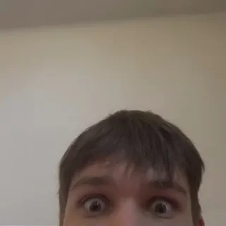 🙂 emoji Поля лучик света Telegram sticker 22 of 55