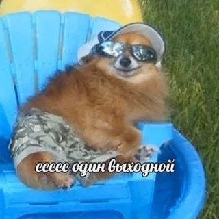 😎 emoji Личные мемы Telegram sticker 23 of 39