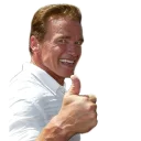 👍 emoji Арнольд Telegram sticker 21 of 48
