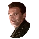🙂 emoji Арнольд Telegram sticker 16 of 48