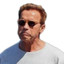 😞 emoji Арнольд Telegram sticker 11 of 48