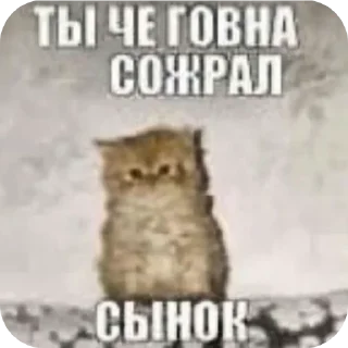 👍 emoji щет пост by @kiIIervibe Telegram sticker 22 of 95