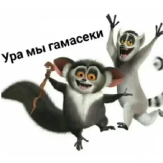 🐦 emoji щет пост by @kiIIervibe Telegram sticker 11 of 95