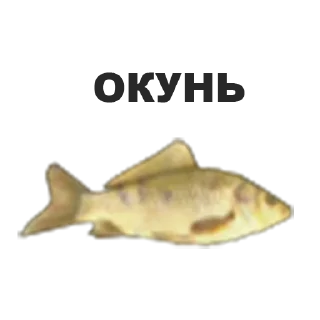 🤣 emoji RADMIR STICKERS Telegram sticker 24 of 43