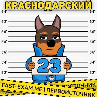 Sticker from Все регионы @fast_exam