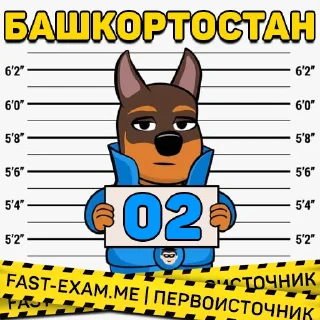 Sticker from 🧭 Все регионы @fast_exam