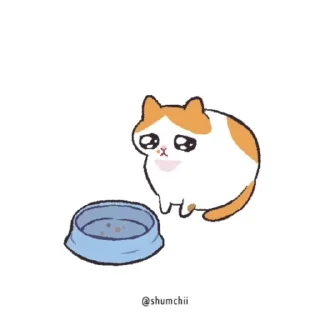 Sticker from crying cat ♡