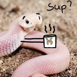 🐍 emoji У нас есть ручки :D Telegram sticker 12 of 55