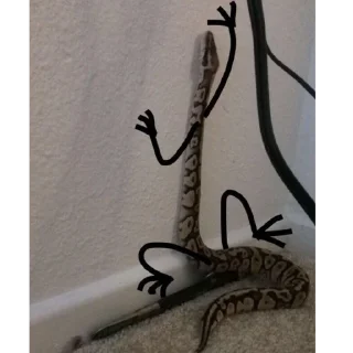 🐍 emoji У нас есть ручки :D Telegram sticker 14 of 55