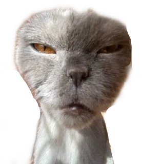 🤨 emoji viking Telegram sticker 18 of 19