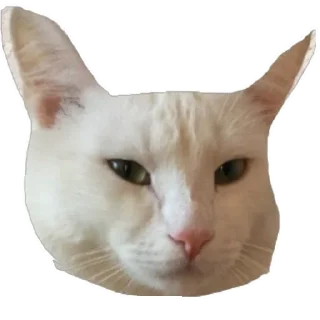 Sticker from catrp