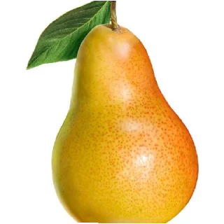 🤗 emoji Я стесняшка Telegram sticker 11 of 11