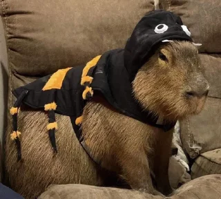 🐝 emoji capybara Telegram sticker 6 of 29