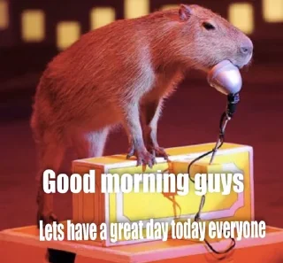 👍 emoji capybara Telegram sticker 20 of 29