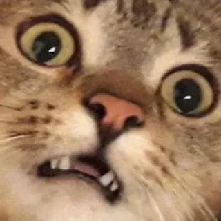 👍 emoji Лалала Telegram sticker 5 of 36