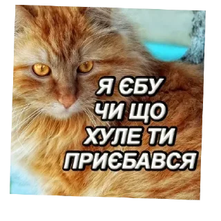 👍 emoji Лалала Telegram sticker 18 of 36