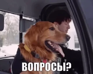 🤩 emoji ПЛАТНО ДОПС Telegram sticker 5 of 68