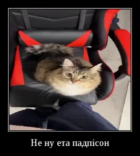 Sticker from Куча Лун :: Автор:@Skuerny