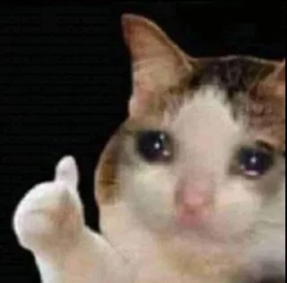 🥲 emoji Я устала блять Telegram sticker 10 of 23
