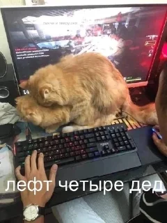🤒 emoji Бан чан Telegram sticker 19 of 120