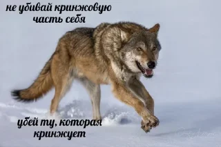 🙈 emoji Бан чан Telegram sticker 21 of 120