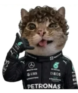 Sticker from 100 оттенков Кими 🏁🏎️🥝