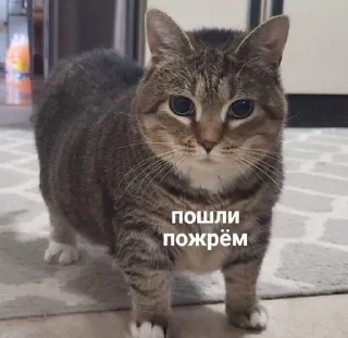 🌟 emoji Пон Telegram sticker 5 of 12