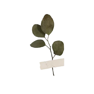 💉 emoji withered • @kxtjvq Telegram sticker 19 of 74