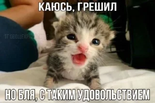 Sticker from Писяпопа