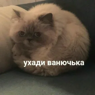 Sticker from Мемы для АуТиСтОв