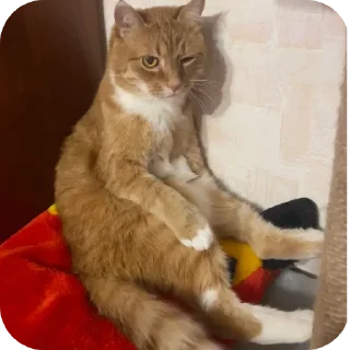 😉 emoji Мем года Telegram sticker 15 of 25
