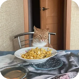 🍲 emoji Мем года Telegram sticker 6 of 25