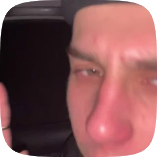 🌟 emoji макака и кошки Telegram sticker 15 of 15