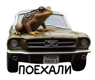 🚗 emoji @neuro_toads Telegram sticker 9 of 30