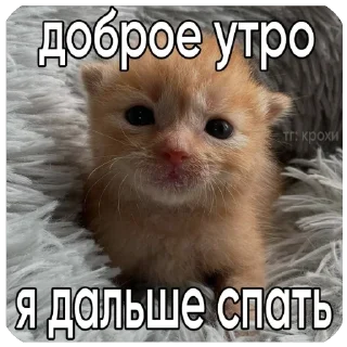 ❤ emoji лав Telegram sticker 12 of 28