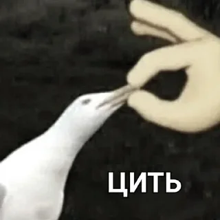 🇺🇦 emoji Memes images Telegram sticker 12 of 106
